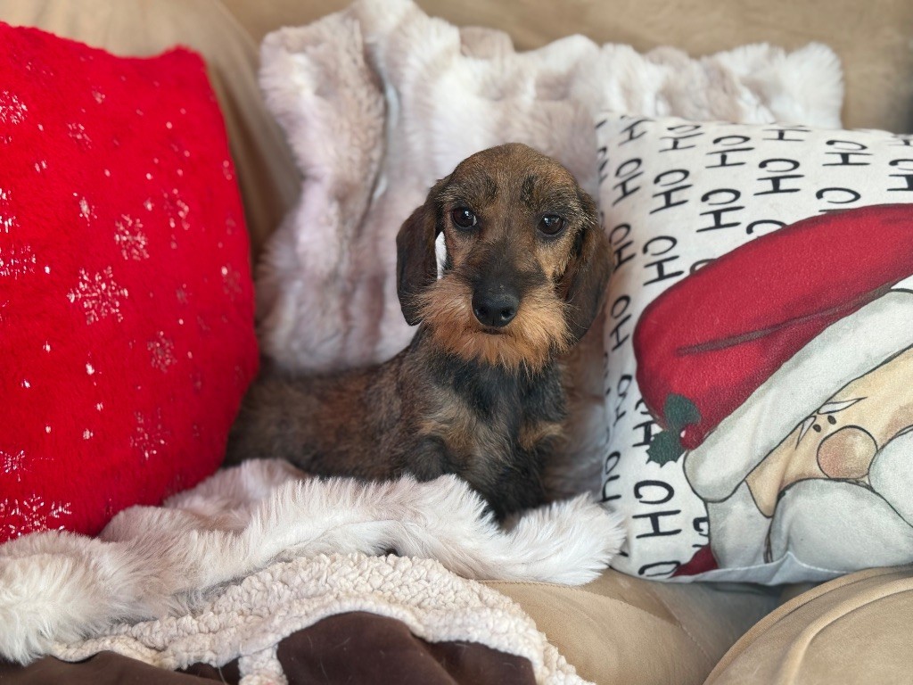 Hope Diamond Vivere del amore